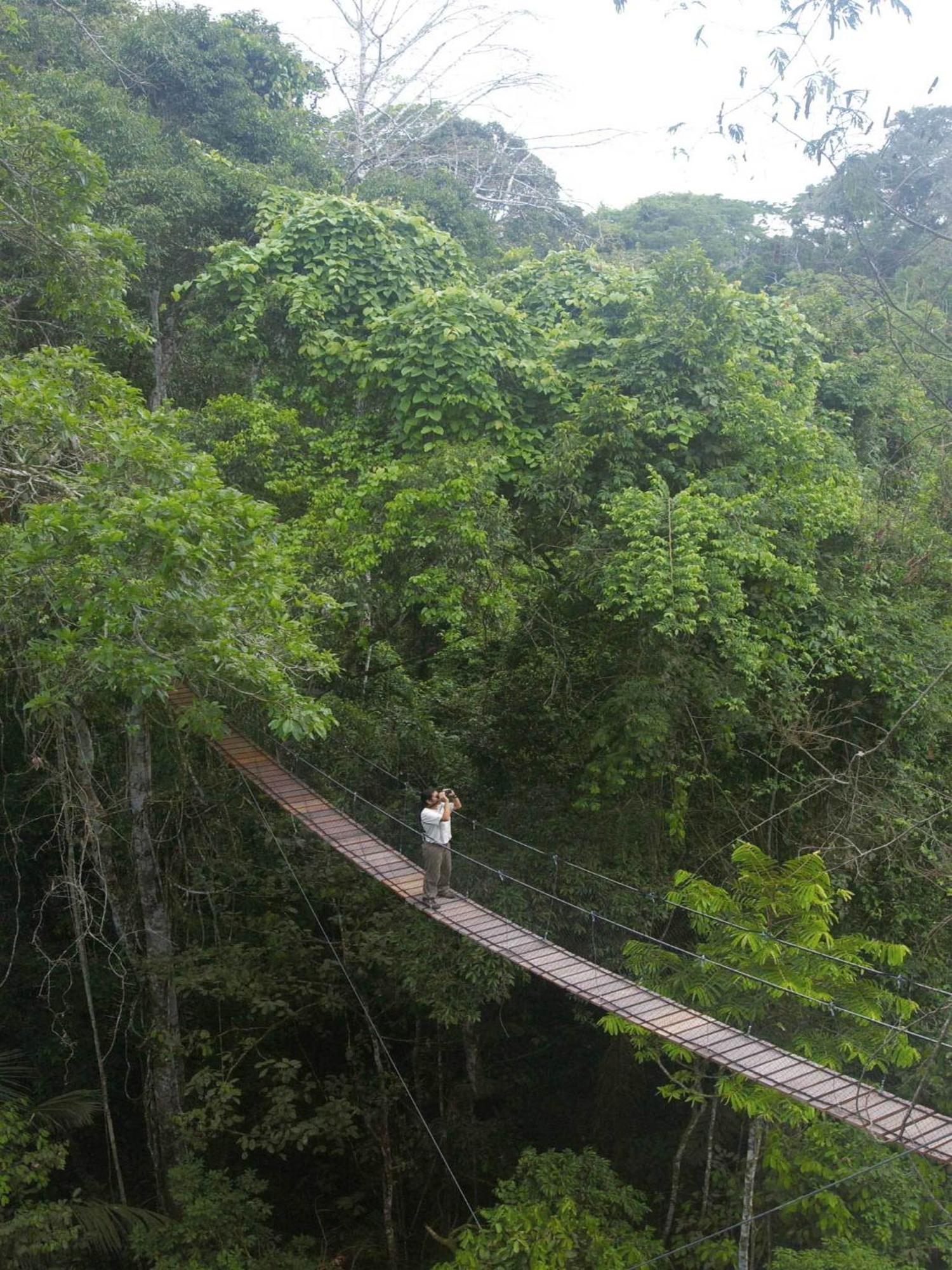 Inkaterra Reserva Amazonica Puerto Maldonado Exterior foto
